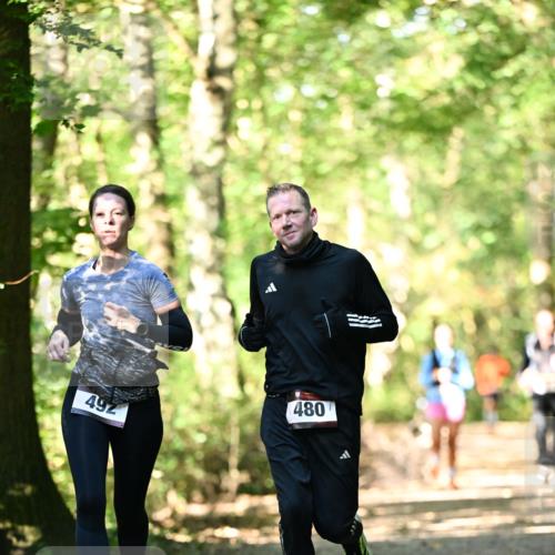 06.10.2024 - Bramfelder Halbmarathon 2024 Dr. Thomas Lammeyer http://msf.ph/oto/7337859 06.10.2024 10:23:35 Laufen 492, 480 meine-sportfotos.de