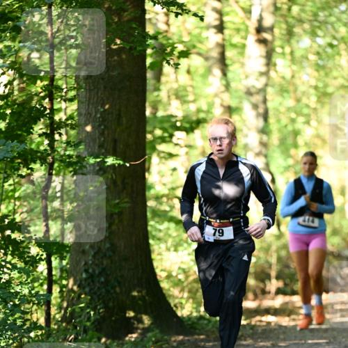 06.10.2024 - Bramfelder Halbmarathon 2024 Dr. Thomas Lammeyer http://msf.ph/oto/7337872 06.10.2024 10:23:43 Laufen 79, 414 meine-sportfotos.de