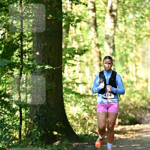 06.10.2024 - Bramfelder Halbmarathon 2024 Dr. Thomas Lammeyer http://msf.ph/oto/7337885 06.10.2024 10:23:45 Laufen 414 meine-sportfotos.de