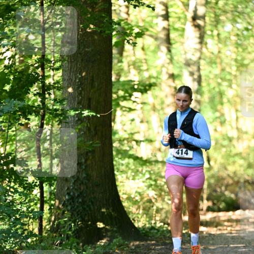 06.10.2024 - Bramfelder Halbmarathon 2024 Dr. Thomas Lammeyer http://msf.ph/oto/7337886 06.10.2024 10:23:45 Laufen 414 meine-sportfotos.de