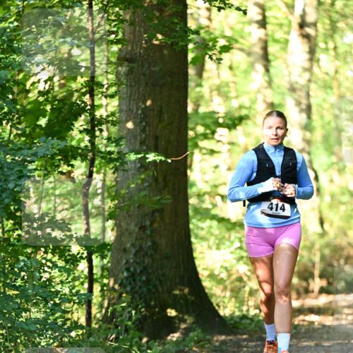06.10.2024 - Bramfelder Halbmarathon 2024 Dr. Thomas Lammeyer http://msf.ph/oto/7337889 06.10.2024 10:23:46 Laufen 414 meine-sportfotos.de