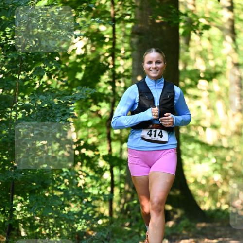 06.10.2024 - Bramfelder Halbmarathon 2024 Dr. Thomas Lammeyer http://msf.ph/oto/7337893 06.10.2024 10:23:47 Laufen 414 meine-sportfotos.de