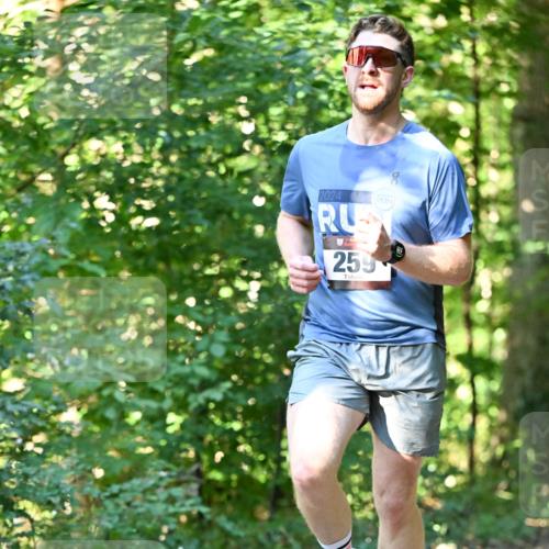 06.10.2024 - Bramfelder Halbmarathon 2024 Dr. Thomas Lammeyer http://msf.ph/oto/7337917 06.10.2024 10:24:03 Laufen 2024, 259 meine-sportfotos.de