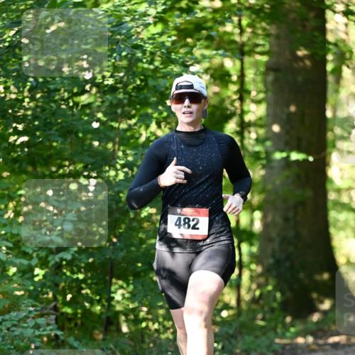 06.10.2024 - Bramfelder Halbmarathon 2024 Dr. Thomas Lammeyer http://msf.ph/oto/7337927 06.10.2024 10:24:08 Laufen 482 meine-sportfotos.de