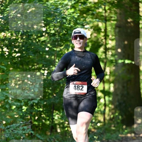 06.10.2024 - Bramfelder Halbmarathon 2024 Dr. Thomas Lammeyer http://msf.ph/oto/7337928 06.10.2024 10:24:08 Laufen 482 meine-sportfotos.de