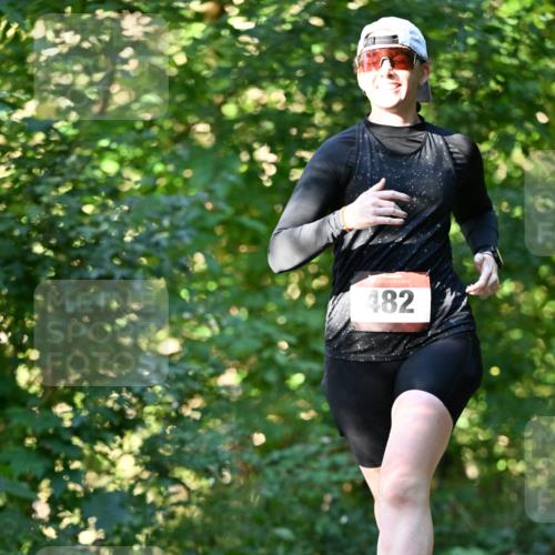 06.10.2024 - Bramfelder Halbmarathon 2024 Dr. Thomas Lammeyer http://msf.ph/oto/7337933 06.10.2024 10:24:08 Laufen 482 meine-sportfotos.de