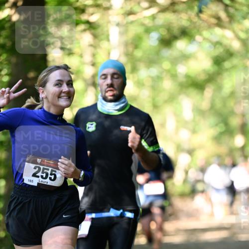 06.10.2024 - Bramfelder Halbmarathon 2024 Dr. Thomas Lammeyer http://msf.ph/oto/7337955 06.10.2024 10:24:17 Laufen 33, 255, 165 meine-sportfotos.de