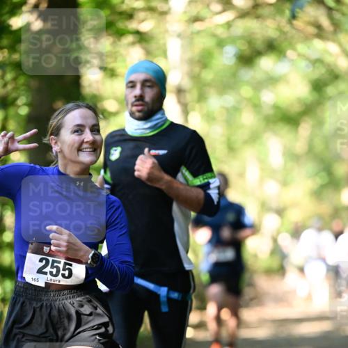 06.10.2024 - Bramfelder Halbmarathon 2024 Dr. Thomas Lammeyer http://msf.ph/oto/7337956 06.10.2024 10:24:17 Laufen 255, 165 meine-sportfotos.de