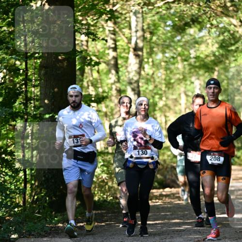 06.10.2024 - Bramfelder Halbmarathon 2024 Dr. Thomas Lammeyer http://msf.ph/oto/7337974 06.10.2024 10:24:28 Laufen 13, 130, 208 meine-sportfotos.de