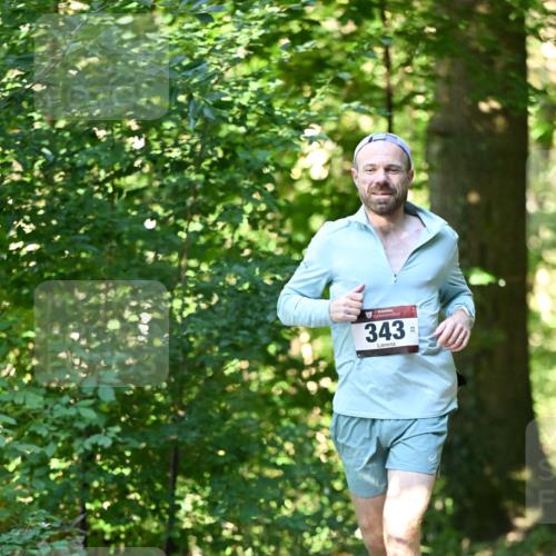 06.10.2024 - Bramfelder Halbmarathon 2024 Dr. Thomas Lammeyer http://msf.ph/oto/7337995 06.10.2024 10:24:34 Laufen 343, 333 meine-sportfotos.de