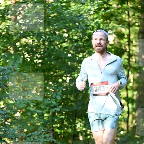 06.10.2024 - Bramfelder Halbmarathon 2024 Dr. Thomas Lammeyer http://msf.ph/oto/7337999 06.10.2024 10:24:34 Laufen 343 meine-sportfotos.de
