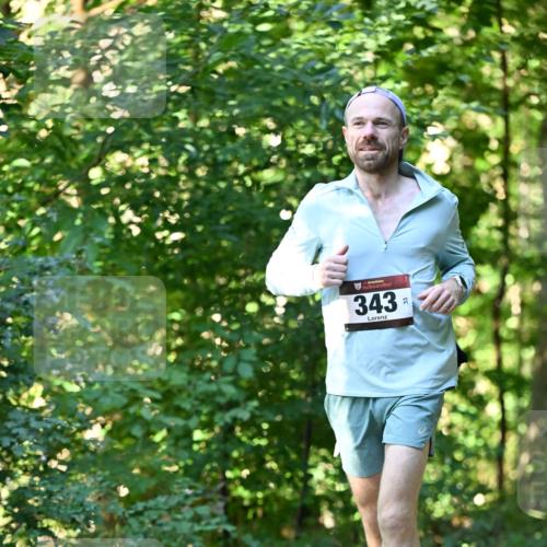 06.10.2024 - Bramfelder Halbmarathon 2024 Dr. Thomas Lammeyer http://msf.ph/oto/7338000 06.10.2024 10:24:35 Laufen 343, 3 meine-sportfotos.de
