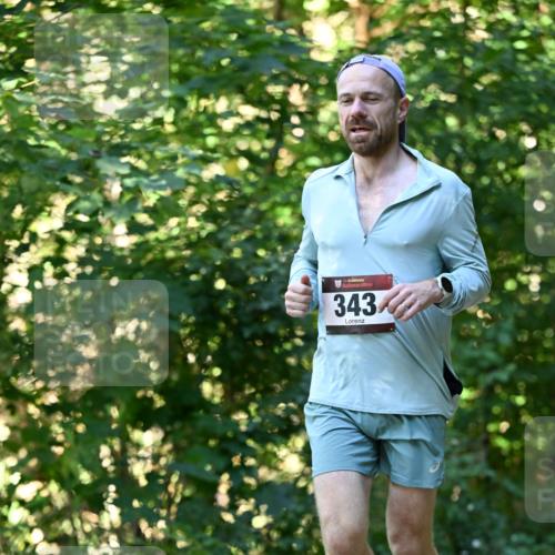 06.10.2024 - Bramfelder Halbmarathon 2024 Dr. Thomas Lammeyer http://msf.ph/oto/7338007 06.10.2024 10:24:36 Laufen 343 meine-sportfotos.de