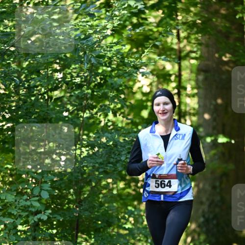 06.10.2024 - Bramfelder Halbmarathon 2024 Dr. Thomas Lammeyer http://msf.ph/oto/7338010 06.10.2024 10:24:38 Laufen 564 meine-sportfotos.de