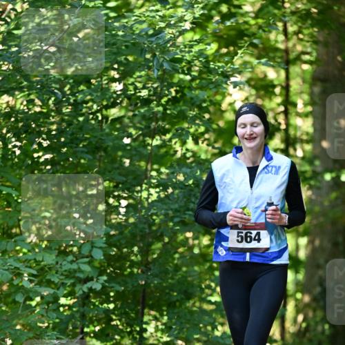 06.10.2024 - Bramfelder Halbmarathon 2024 Dr. Thomas Lammeyer http://msf.ph/oto/7338011 06.10.2024 10:24:38 Laufen 564 meine-sportfotos.de