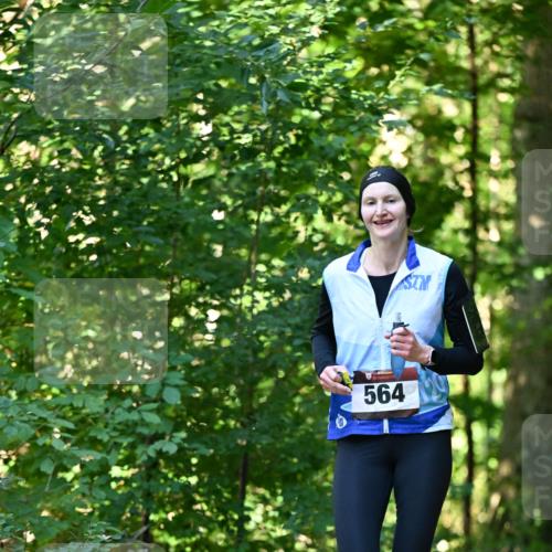 06.10.2024 - Bramfelder Halbmarathon 2024 Dr. Thomas Lammeyer http://msf.ph/oto/7338012 06.10.2024 10:24:38 Laufen 564 meine-sportfotos.de
