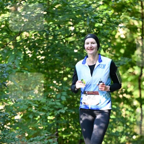 06.10.2024 - Bramfelder Halbmarathon 2024 Dr. Thomas Lammeyer http://msf.ph/oto/7338015 06.10.2024 10:24:38 Laufen  meine-sportfotos.de