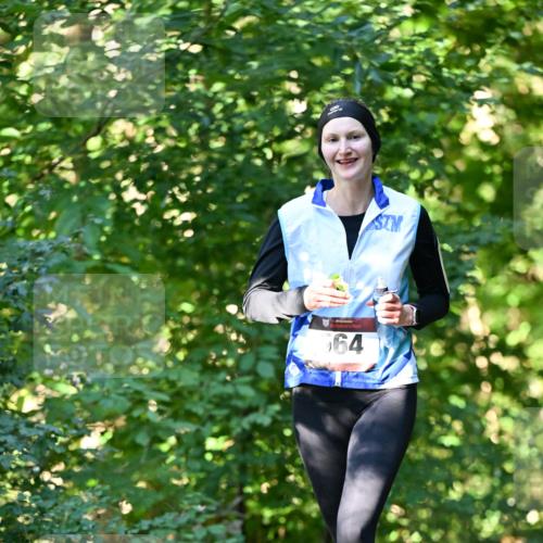 06.10.2024 - Bramfelder Halbmarathon 2024 Dr. Thomas Lammeyer http://msf.ph/oto/7338016 06.10.2024 10:24:38 Laufen 664 meine-sportfotos.de
