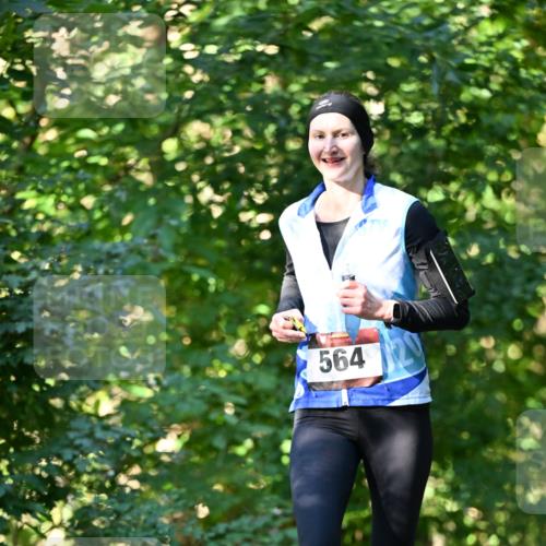 06.10.2024 - Bramfelder Halbmarathon 2024 Dr. Thomas Lammeyer http://msf.ph/oto/7338018 06.10.2024 10:24:39 Laufen 564 meine-sportfotos.de