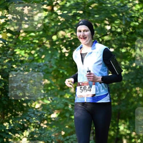 06.10.2024 - Bramfelder Halbmarathon 2024 Dr. Thomas Lammeyer http://msf.ph/oto/7338019 06.10.2024 10:24:39 Laufen 564, 020 meine-sportfotos.de