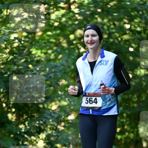 06.10.2024 - Bramfelder Halbmarathon 2024 Dr. Thomas Lammeyer http://msf.ph/oto/7338020 06.10.2024 10:24:39 Laufen 564 meine-sportfotos.de