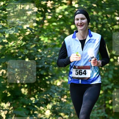 06.10.2024 - Bramfelder Halbmarathon 2024 Dr. Thomas Lammeyer http://msf.ph/oto/7338021 06.10.2024 10:24:39 Laufen 564 meine-sportfotos.de