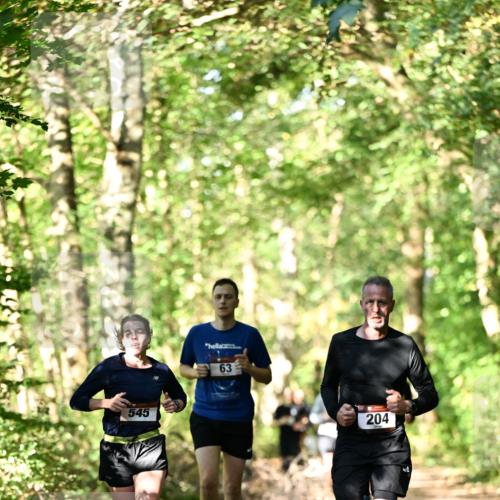 06.10.2024 - Bramfelder Halbmarathon 2024 Dr. Thomas Lammeyer http://msf.ph/oto/7338049 06.10.2024 10:24:47 Laufen 545, 63, 204 meine-sportfotos.de