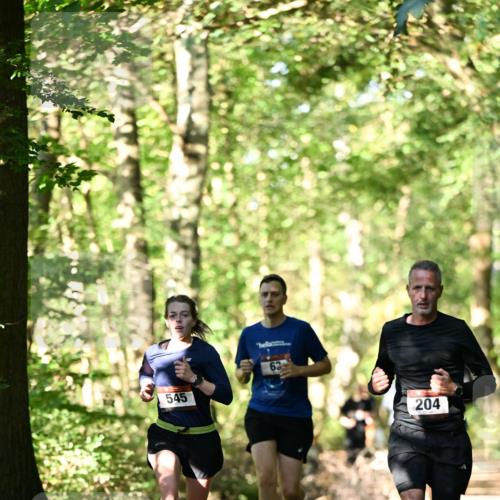 06.10.2024 - Bramfelder Halbmarathon 2024 Dr. Thomas Lammeyer http://msf.ph/oto/7338051 06.10.2024 10:24:48 Laufen 545, 62, 204 meine-sportfotos.de