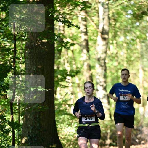 06.10.2024 - Bramfelder Halbmarathon 2024 Dr. Thomas Lammeyer http://msf.ph/oto/7338055 06.10.2024 10:24:48 Laufen 545, 63 meine-sportfotos.de