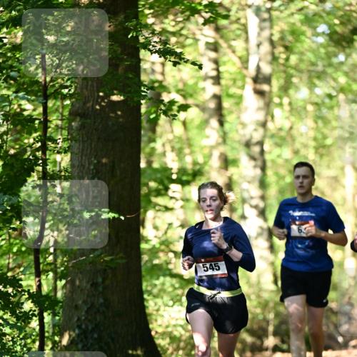 06.10.2024 - Bramfelder Halbmarathon 2024 Dr. Thomas Lammeyer http://msf.ph/oto/7338056 06.10.2024 10:24:48 Laufen 545 meine-sportfotos.de