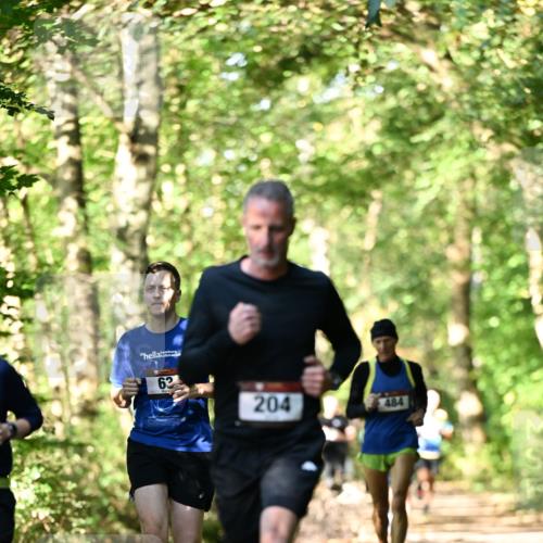 06.10.2024 - Bramfelder Halbmarathon 2024 Dr. Thomas Lammeyer http://msf.ph/oto/7338059 06.10.2024 10:24:49 Laufen 62, 204, 484 meine-sportfotos.de