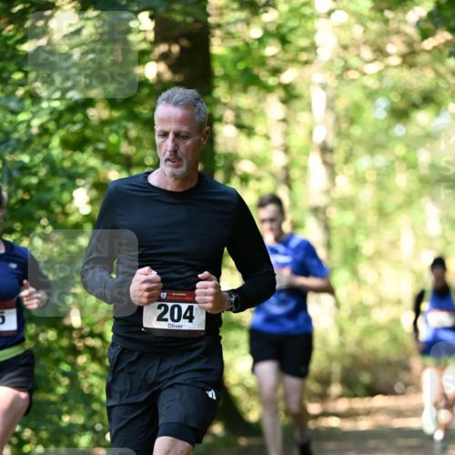 06.10.2024 - Bramfelder Halbmarathon 2024 Dr. Thomas Lammeyer http://msf.ph/oto/7338069 06.10.2024 10:24:51 Laufen 204 meine-sportfotos.de