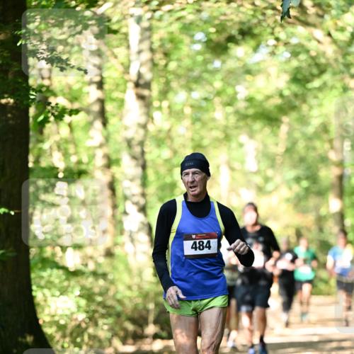 06.10.2024 - Bramfelder Halbmarathon 2024 Dr. Thomas Lammeyer http://msf.ph/oto/7338073 06.10.2024 10:24:53 Laufen 484 meine-sportfotos.de