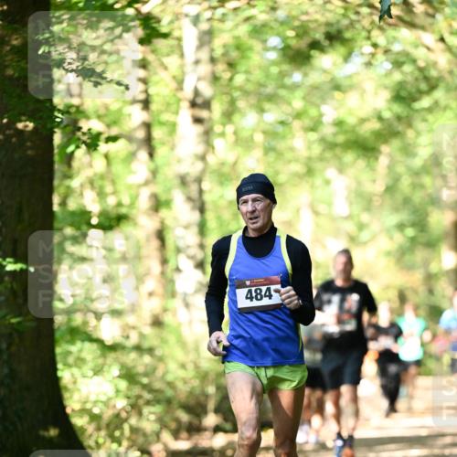 06.10.2024 - Bramfelder Halbmarathon 2024 Dr. Thomas Lammeyer http://msf.ph/oto/7338074 06.10.2024 10:24:53 Laufen 484 meine-sportfotos.de