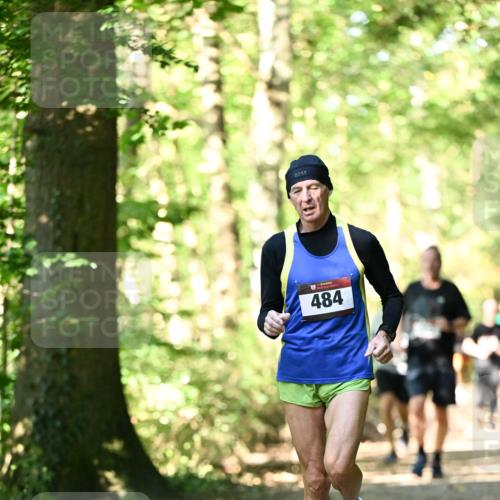 06.10.2024 - Bramfelder Halbmarathon 2024 Dr. Thomas Lammeyer http://msf.ph/oto/7338076 06.10.2024 10:24:53 Laufen 484 meine-sportfotos.de