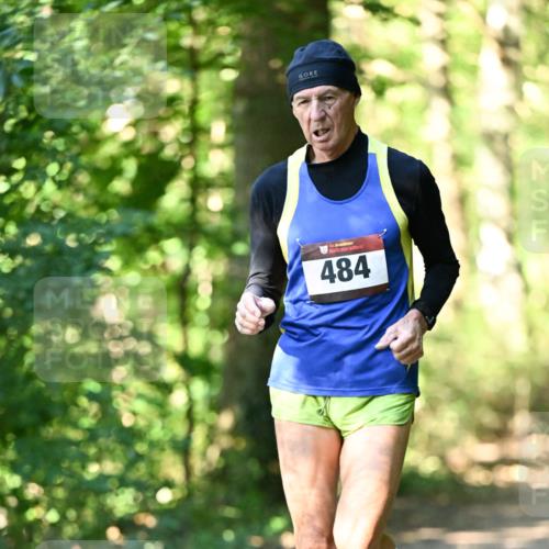 06.10.2024 - Bramfelder Halbmarathon 2024 Dr. Thomas Lammeyer http://msf.ph/oto/7338086 06.10.2024 10:24:54 Laufen 484 meine-sportfotos.de