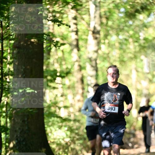 06.10.2024 - Bramfelder Halbmarathon 2024 Dr. Thomas Lammeyer http://msf.ph/oto/7338088 06.10.2024 10:24:57 Laufen 393 meine-sportfotos.de