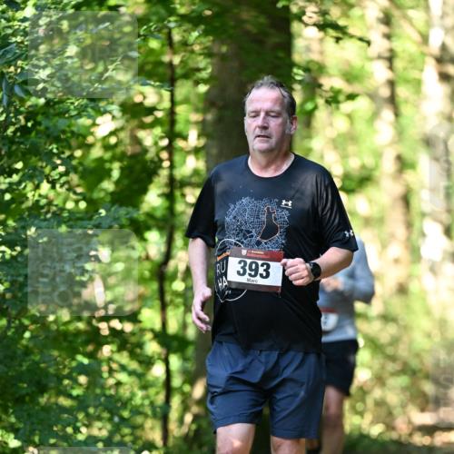 06.10.2024 - Bramfelder Halbmarathon 2024 Dr. Thomas Lammeyer http://msf.ph/oto/7338105 06.10.2024 10:25:00 Laufen 393 meine-sportfotos.de