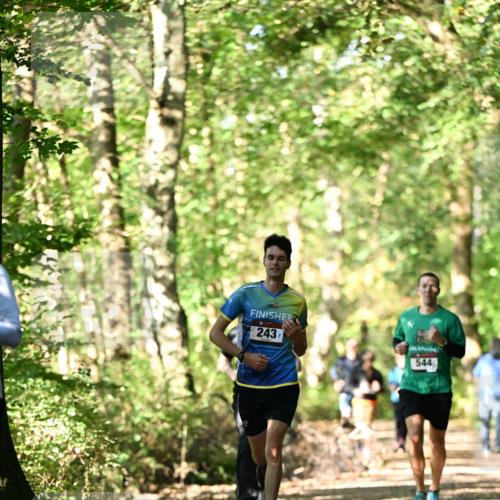 06.10.2024 - Bramfelder Halbmarathon 2024 Dr. Thomas Lammeyer http://msf.ph/oto/7338107 06.10.2024 10:25:00 Laufen 243, 544 meine-sportfotos.de