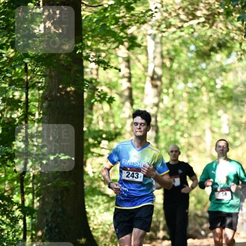 06.10.2024 - Bramfelder Halbmarathon 2024 Dr. Thomas Lammeyer http://msf.ph/oto/7338113 06.10.2024 10:25:03 Laufen 243, 544 meine-sportfotos.de