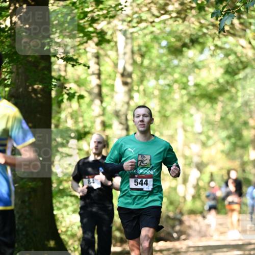06.10.2024 - Bramfelder Halbmarathon 2024 Dr. Thomas Lammeyer http://msf.ph/oto/7338122 06.10.2024 10:25:05 Laufen 544, 173 meine-sportfotos.de