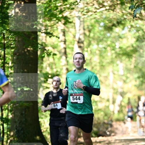 06.10.2024 - Bramfelder Halbmarathon 2024 Dr. Thomas Lammeyer http://msf.ph/oto/7338124 06.10.2024 10:25:05 Laufen 84, 544, 173 meine-sportfotos.de