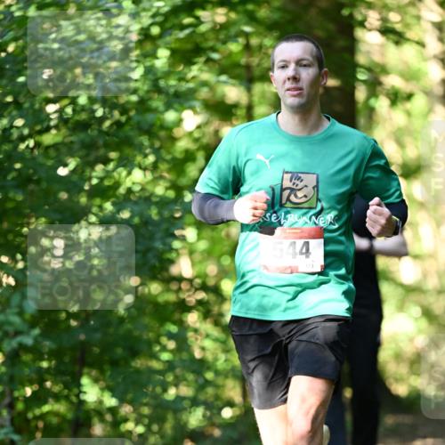 06.10.2024 - Bramfelder Halbmarathon 2024 Dr. Thomas Lammeyer http://msf.ph/oto/7338133 06.10.2024 10:25:06 Laufen 544 meine-sportfotos.de