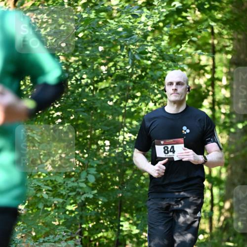 06.10.2024 - Bramfelder Halbmarathon 2024 Dr. Thomas Lammeyer http://msf.ph/oto/7338136 06.10.2024 10:25:07 Laufen 84 meine-sportfotos.de