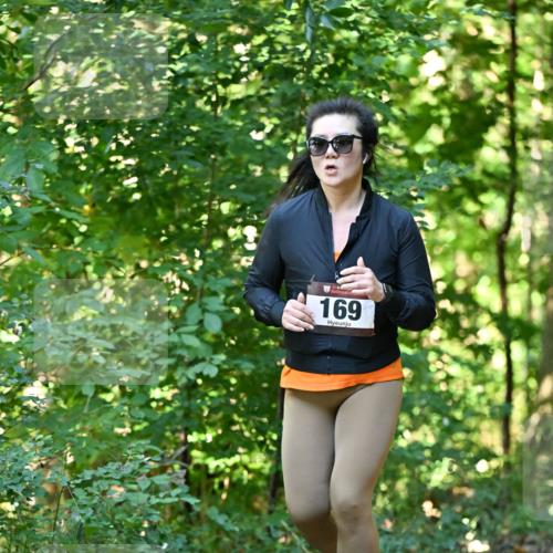 06.10.2024 - Bramfelder Halbmarathon 2024 Dr. Thomas Lammeyer http://msf.ph/oto/7338157 06.10.2024 10:25:18 Laufen 169 meine-sportfotos.de