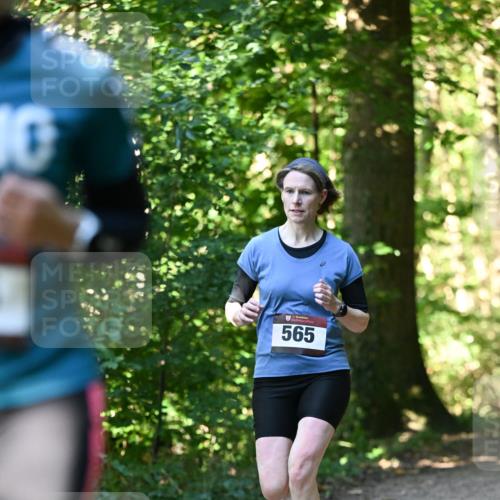06.10.2024 - Bramfelder Halbmarathon 2024 Dr. Thomas Lammeyer http://msf.ph/oto/7338163 06.10.2024 10:25:21 Laufen 565 meine-sportfotos.de