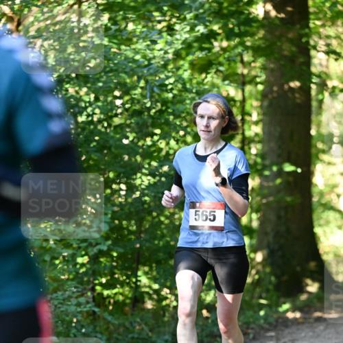 06.10.2024 - Bramfelder Halbmarathon 2024 Dr. Thomas Lammeyer http://msf.ph/oto/7338164 06.10.2024 10:25:21 Laufen 565 meine-sportfotos.de
