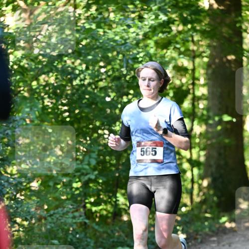 06.10.2024 - Bramfelder Halbmarathon 2024 Dr. Thomas Lammeyer http://msf.ph/oto/7338165 06.10.2024 10:25:22 Laufen 565 meine-sportfotos.de