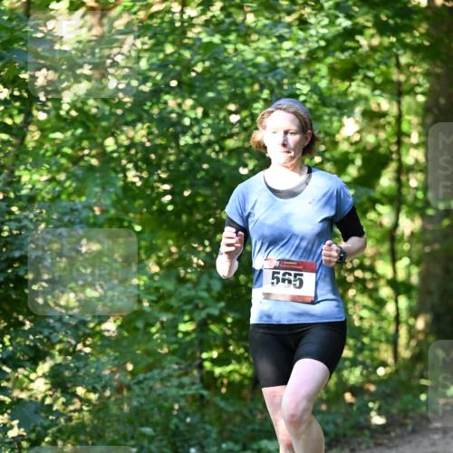 06.10.2024 - Bramfelder Halbmarathon 2024 Dr. Thomas Lammeyer http://msf.ph/oto/7338166 06.10.2024 10:25:22 Laufen 565 meine-sportfotos.de