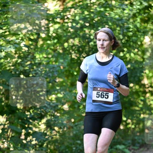 06.10.2024 - Bramfelder Halbmarathon 2024 Dr. Thomas Lammeyer http://msf.ph/oto/7338168 06.10.2024 10:25:22 Laufen 565 meine-sportfotos.de